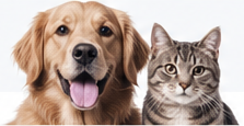 Perrito y gatito de INFABIOVET